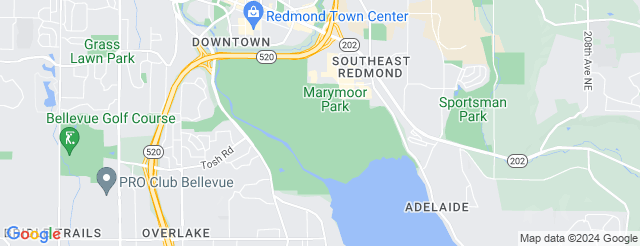 Under The White Big Top 